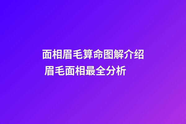 面相眉毛算命图解介绍 眉毛面相最全分析